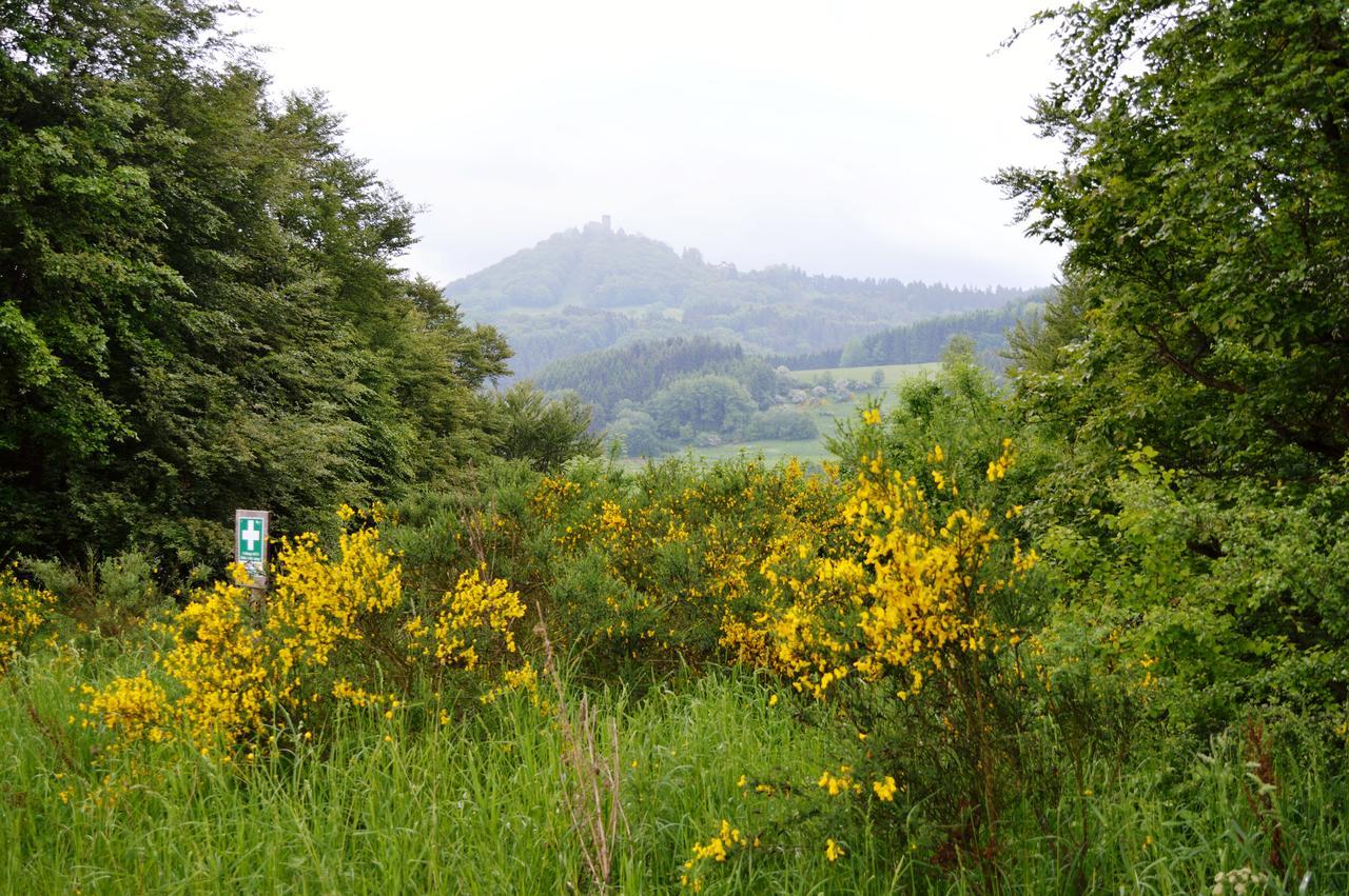 Quiddelbach Franky House Am Nuerburgring Bed & Breakfast エクステリア 写真