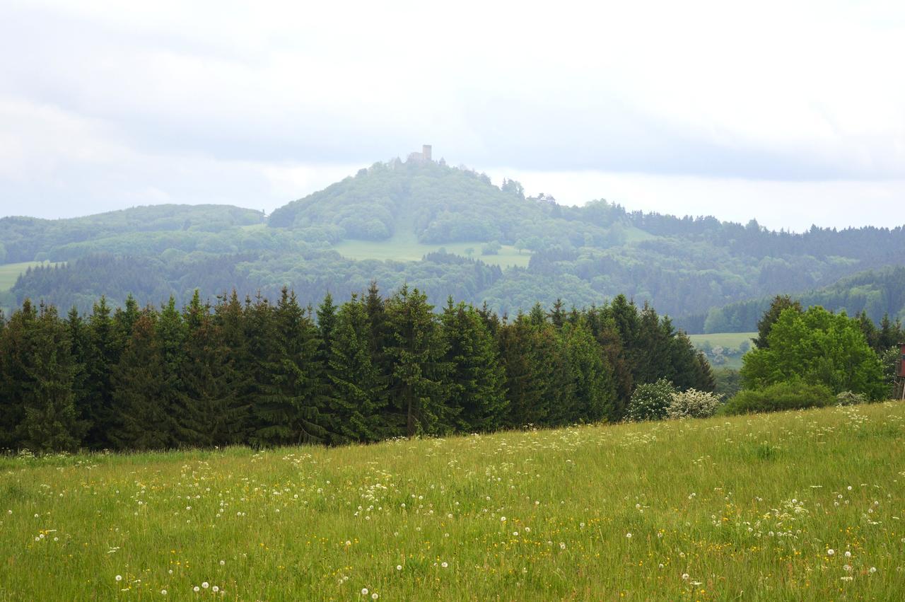 Quiddelbach Franky House Am Nuerburgring Bed & Breakfast エクステリア 写真